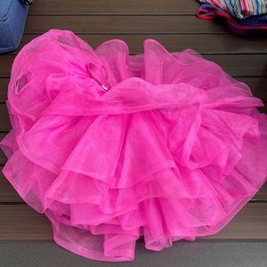 Pink costume Tutu